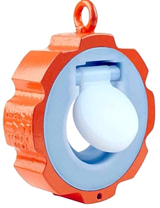 lined check valve